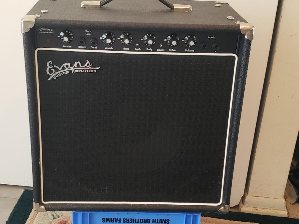 Nice Evans Custom Electric Guitar Amplifier Model 112 EES 