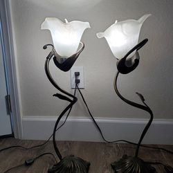Vintage Frosted Tulip Shade Lamp Set
