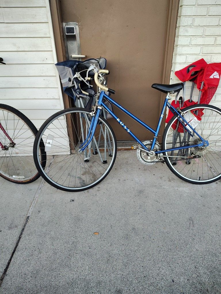 Adult Bikes