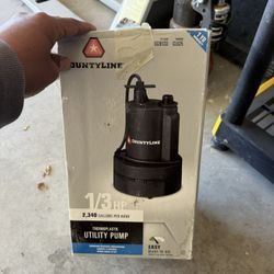 Utility Pump 1/3 Hp 