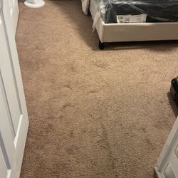 New Huge Floor Carpet Unused