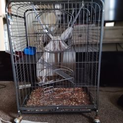 Nice Cage For Small Animal