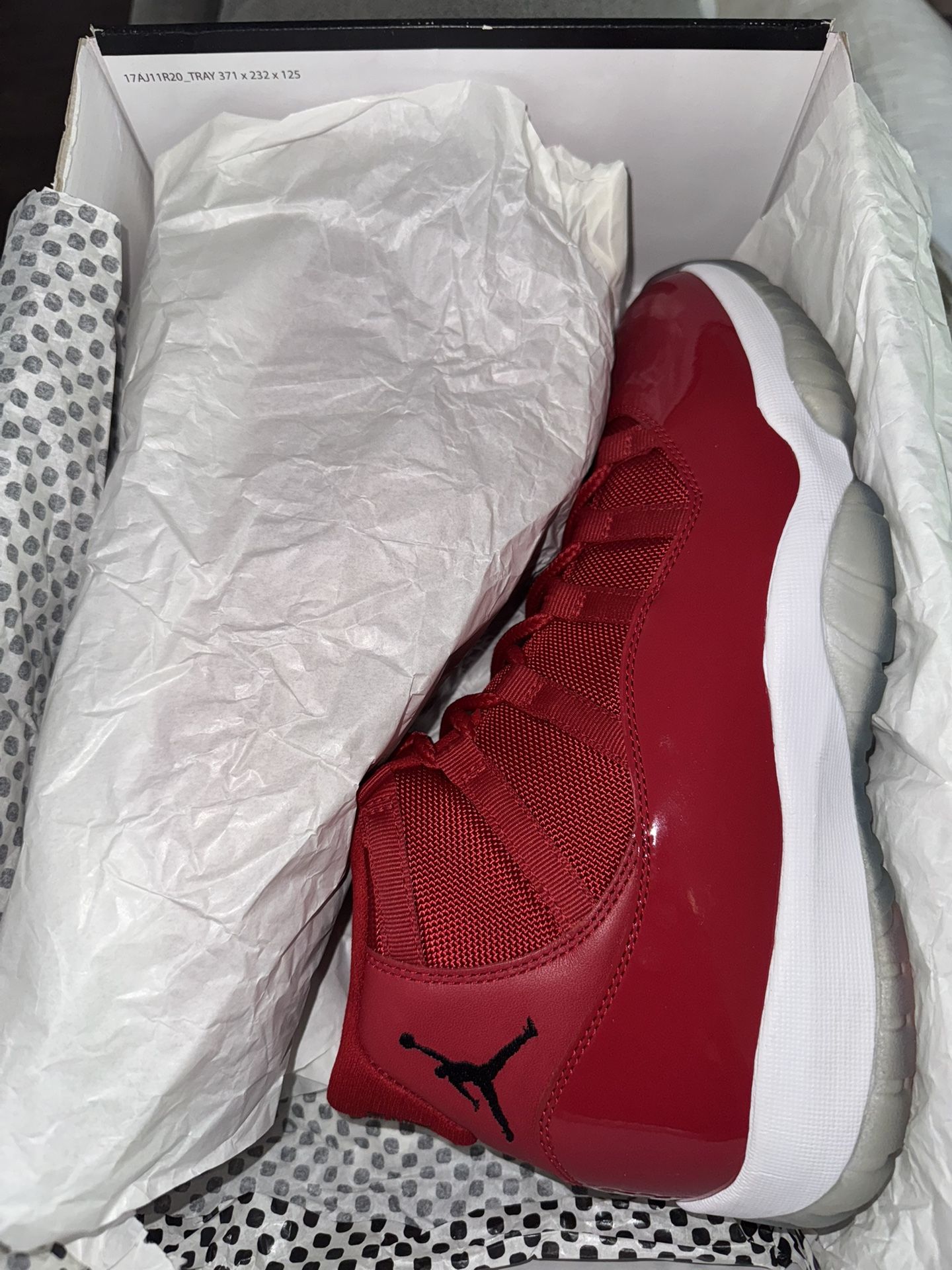 Retro 11 Win Like 96