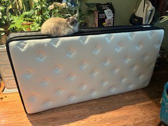 Twin Mattress