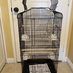 Birds Cage 