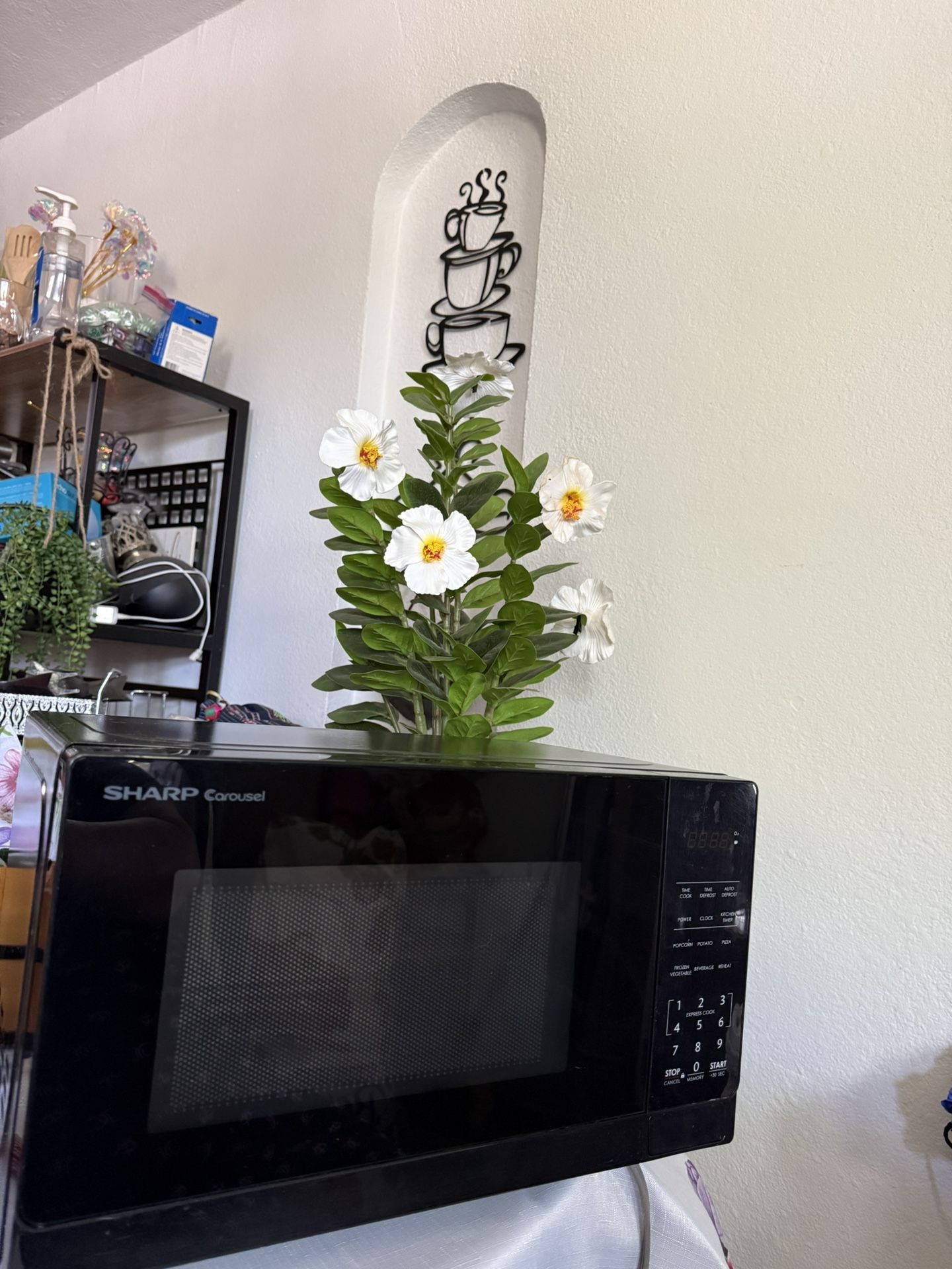 Sharp Microwave $20.00