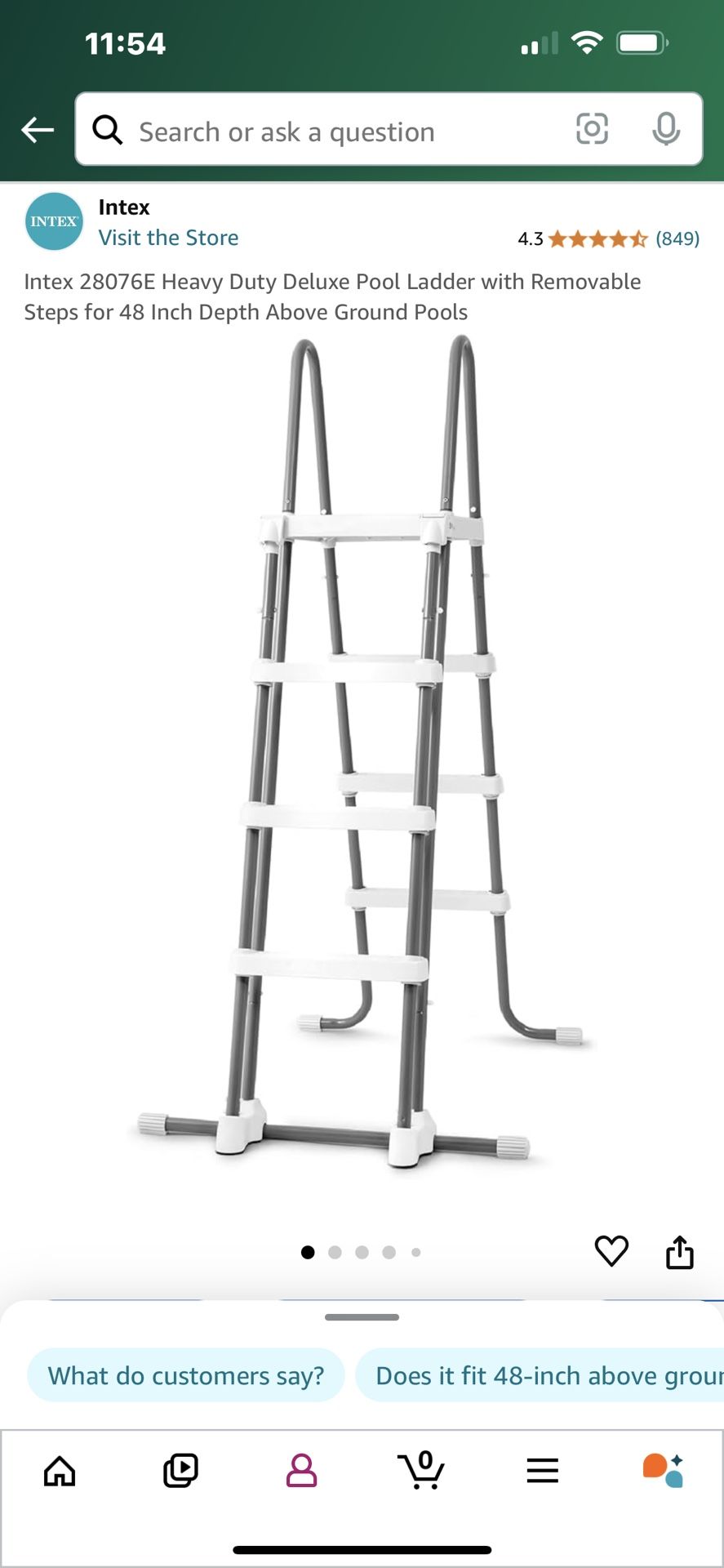 Swimming Pool Ladder