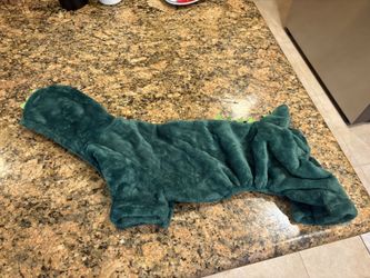 Small Dinosaur Dog Costume