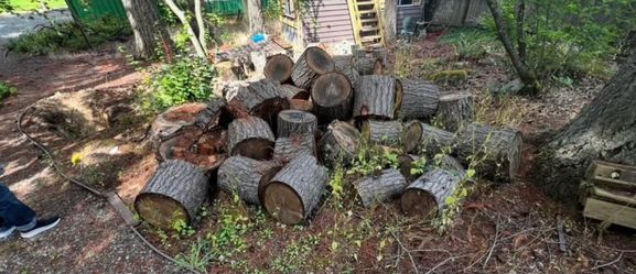 MUST GO: Firewood Rounds (Seasoned & Unseasoned) – Pick Up ASAP