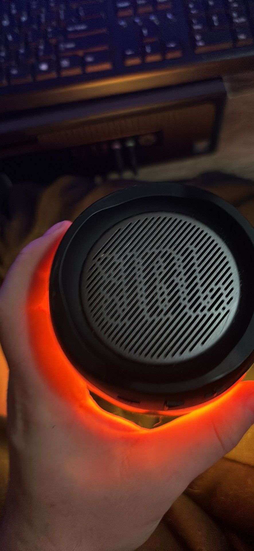 Speaker