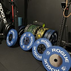 Rogue LB Competition Plates (45)