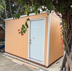 Shed 8x12x10