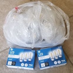 LED Bulbs