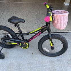 Rip Rock Specialty bike