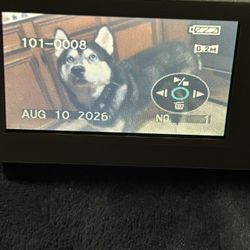 Panasonic Mini DV digital camcorder