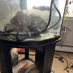 Salt Water Corner Fish Tank 72gallons
