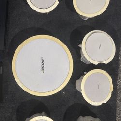Bose Model 16 and Free Space 3 Series II