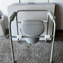 Potty Chair 