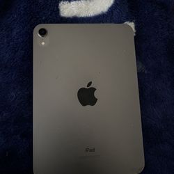 Ipad Mini 6th Gen
