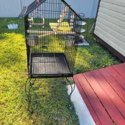 Bird Cage 