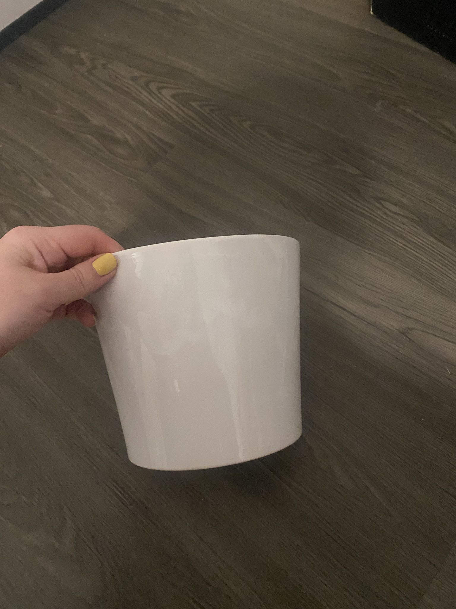 Plant Pot