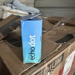 Echo Alexa 