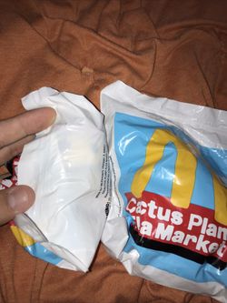 Sealed Cactus Buddy Cactus Plant For Market McDonald’s Toy 