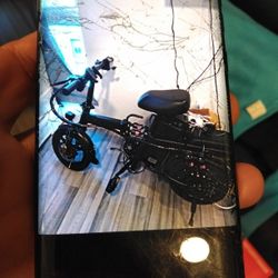 Electric Scooter Model # Wt0808