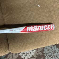 marrcui cat 8