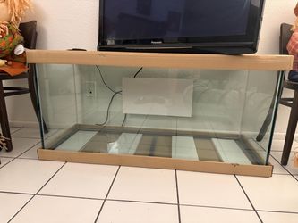 fish tank 75 gallons