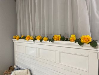 Yellow rose display