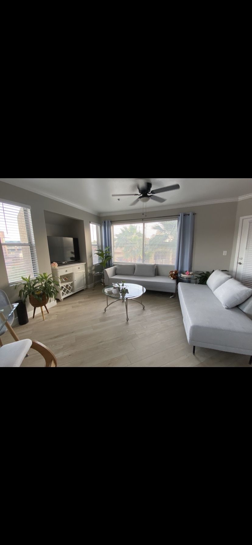 All Modern Couches / Sofa Set