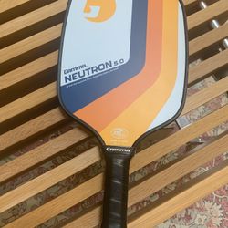 Pickleball Paddle + Balls