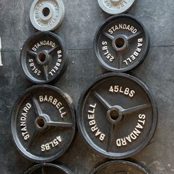 Set Of 45, 25, 10, 5 Lb Olympic Weights 