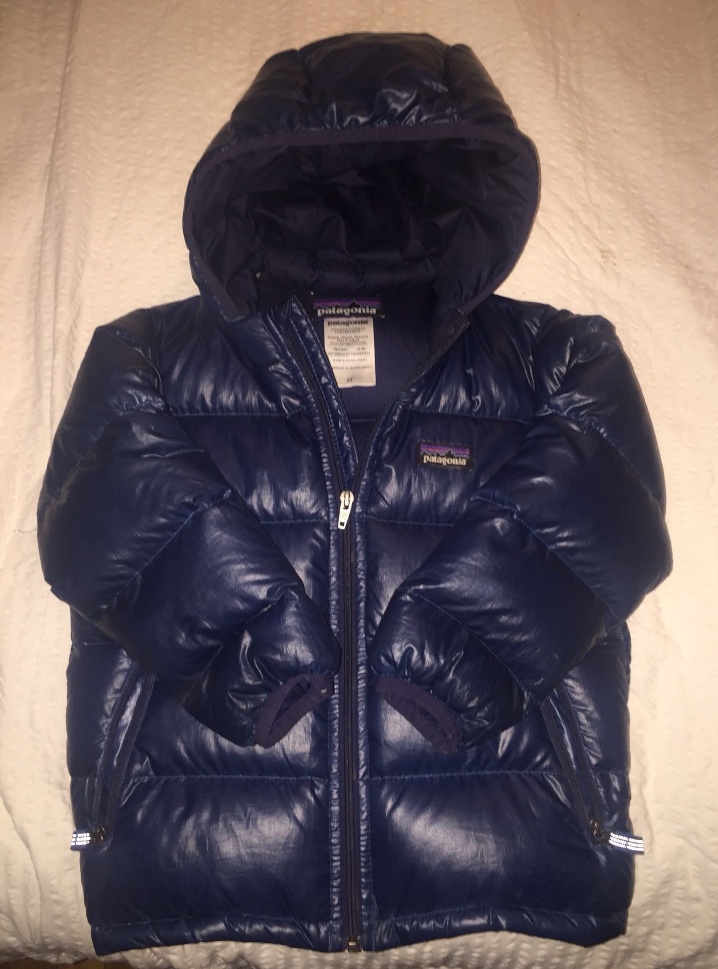 Patagonia Puffer Jacket with Hood