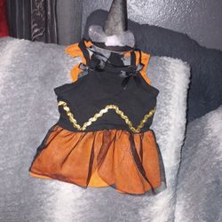 Dog Witch Costume 