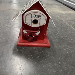 Birds House Chicago Bull