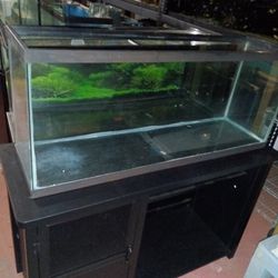 Fish Tank  Restiles 