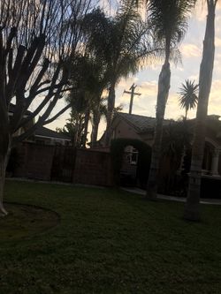 Tree trimmer