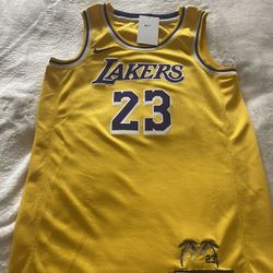 Lebron James Jersey 