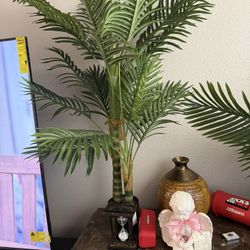 Plants Beautiful Not Real Indoor Or Outdoor 