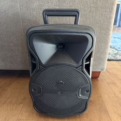 Blackmore Pro Audio Rechargeable Portable Bluetooth Speaker