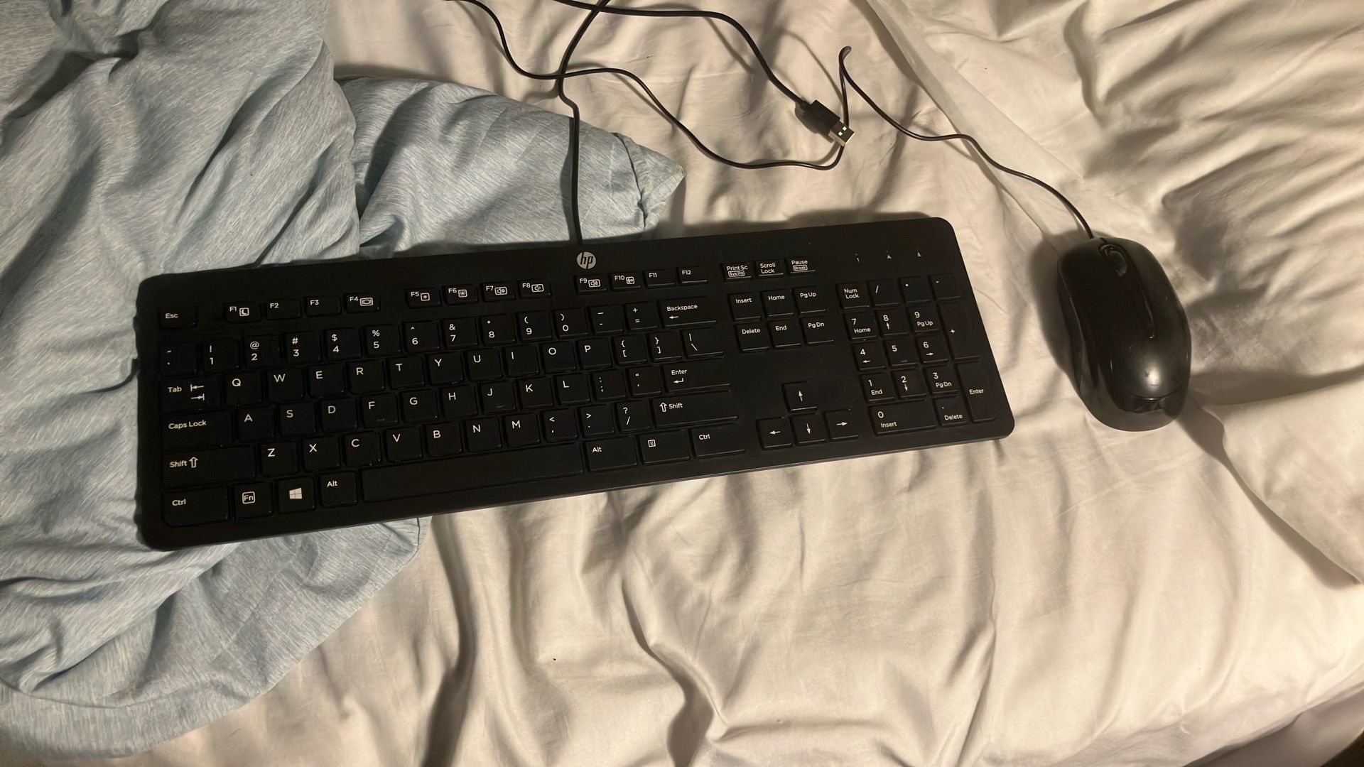 Office Keyboard/ Mouse Bundle