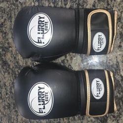 Flurry Elite Boxing Gloves
