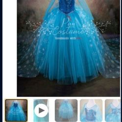  Girl.. Elsa Birthday Party Frozen dress 2t