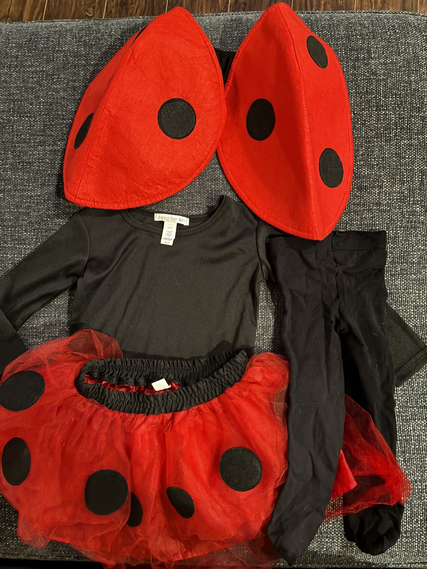 Ladybug Halloween Costume 