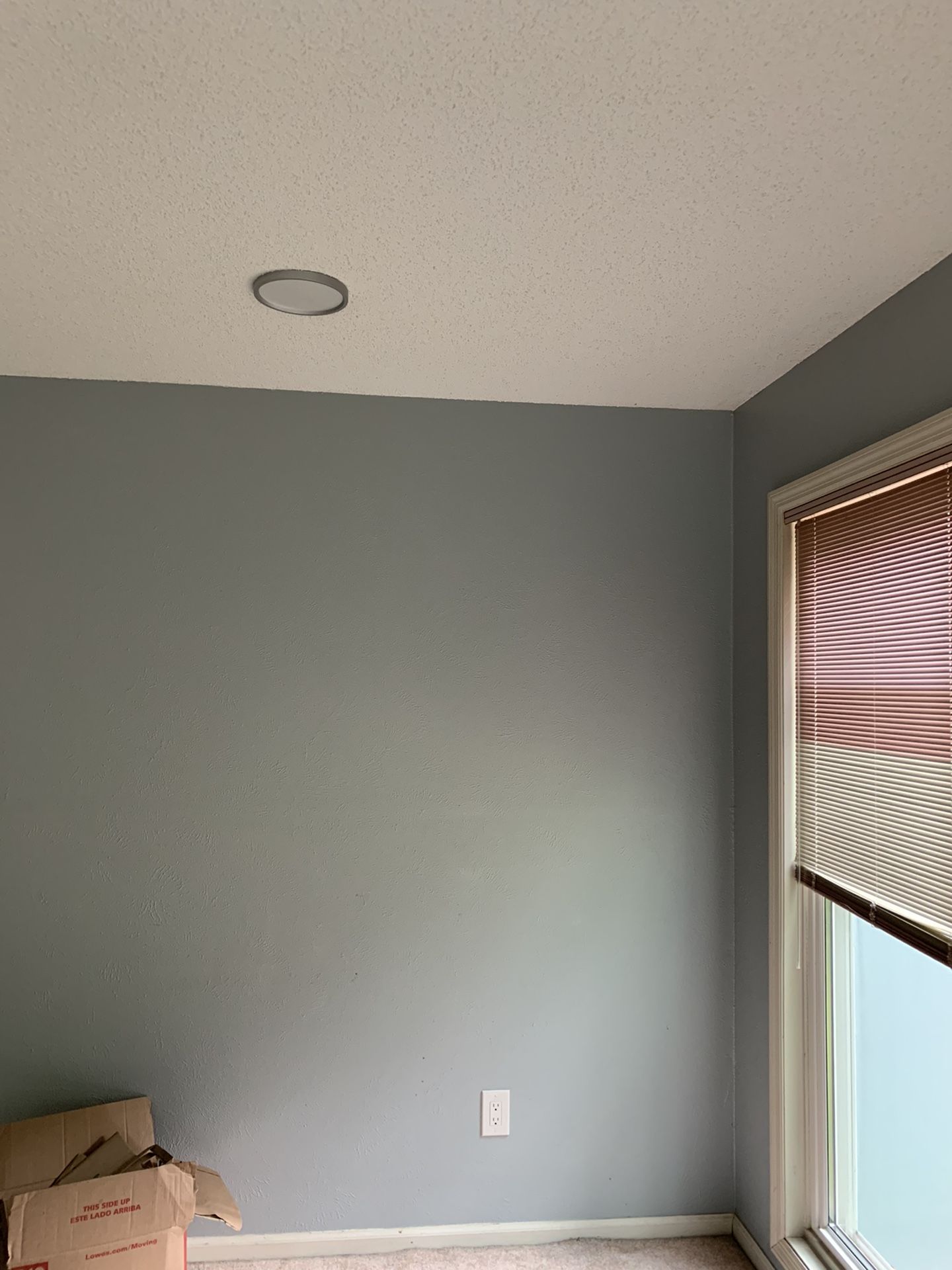 Celling Lights New In Box. $25 Each. Price negotiable