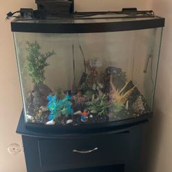 Fish Tank