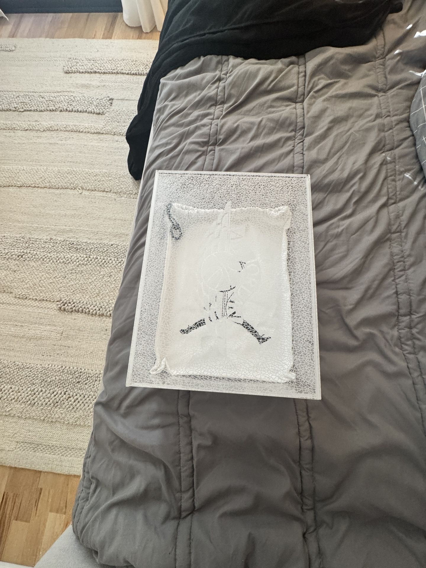 Rare Plastic Jordan Shoe Box With Shoe Bag