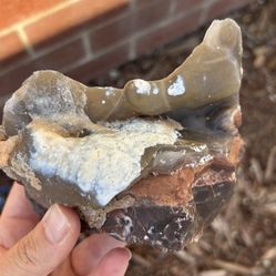 Natural Rough Unpolished Petrified Wood Agate Fossilized Rock Stone Decor Jasper Chalcedony Display 